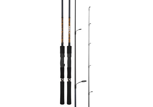 DAIWA '24 AIRD X [T:702MHFS]