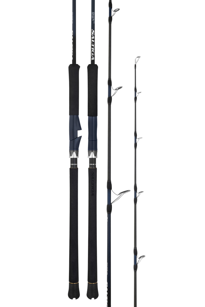 DAIWA '25 SALTIGA J [T:S55-4/6]