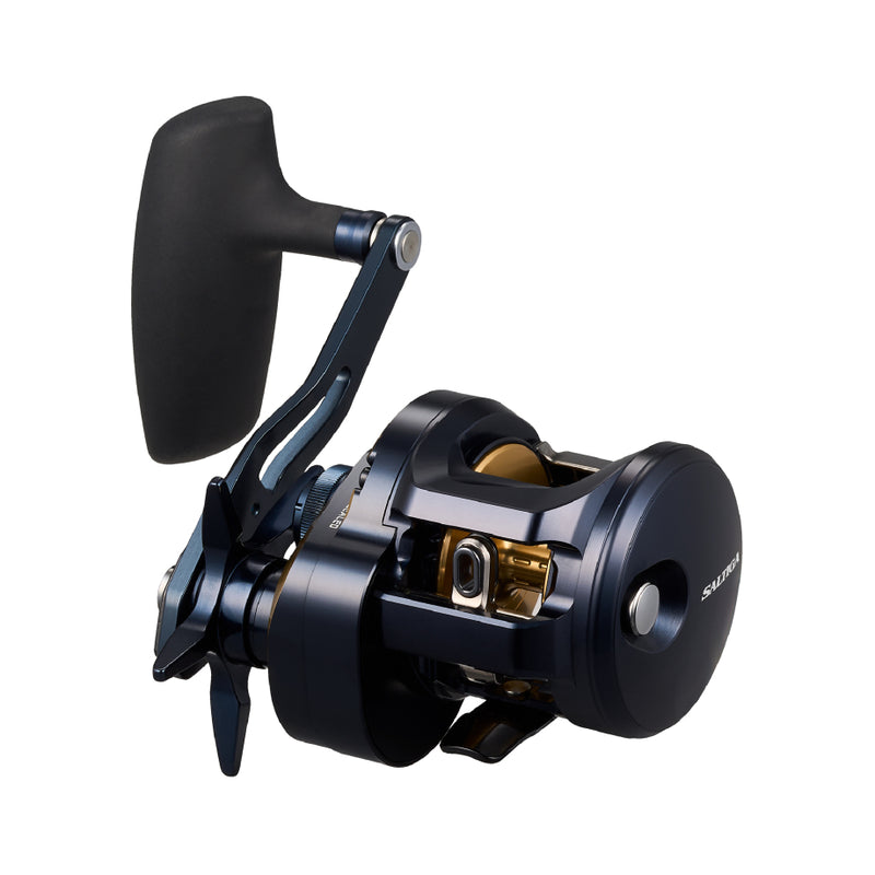 DAIWA '25 SALTIGA 300H