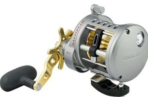 DAIWA SALTIST LW [T:30HA]