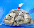 COCKLES 500G