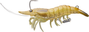 LIVE TARGET LIVE SHRIMP FINESS BAIT 95MM [Co:GLASS SHRIMP]