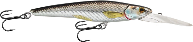 LIVE TARGET RAINBOW SMELT 3"5/8 DEEP [Co:SILVER BLACK]