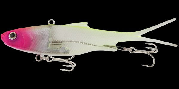 SAMAKI VIBELICIOUS [Co:UV CHART HEAD Sz:100MM]